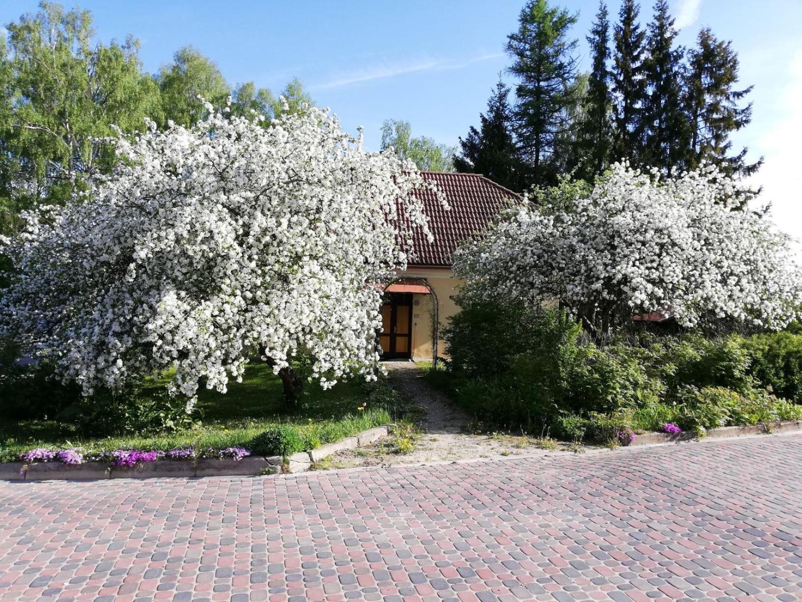 Ruunawere Hotel Nommealuse Экстерьер фото